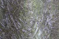 Ulnes Walton fibreglass roof work